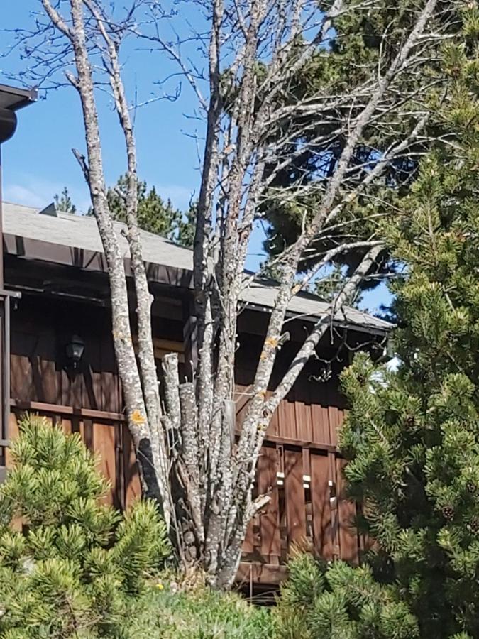 Chalet De L Ours Bolquere Exterior photo